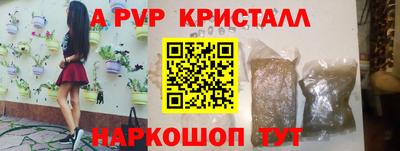 прущие грибы Малгобек