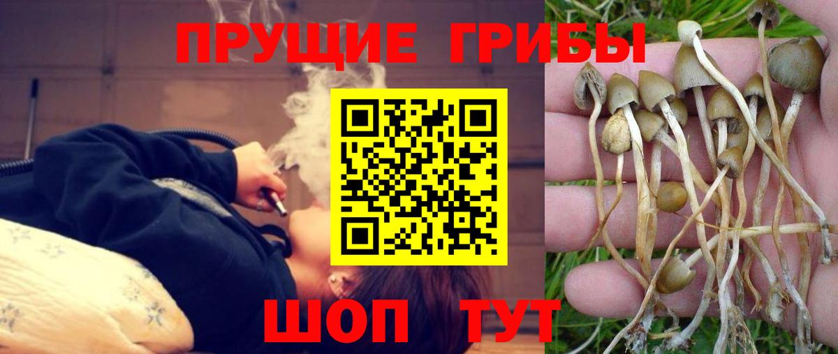 Псилоцибиновые грибы прущие грибы  купить закладку  Городец  Вход с VPN 